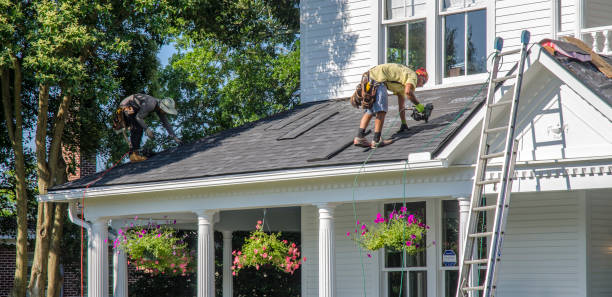 Best Roof Moss and Algae Removal  in Sebring, OH